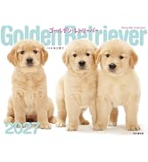 カレンダー2027 ゴールデン・レトリーバー（月めくり/壁掛け/犬